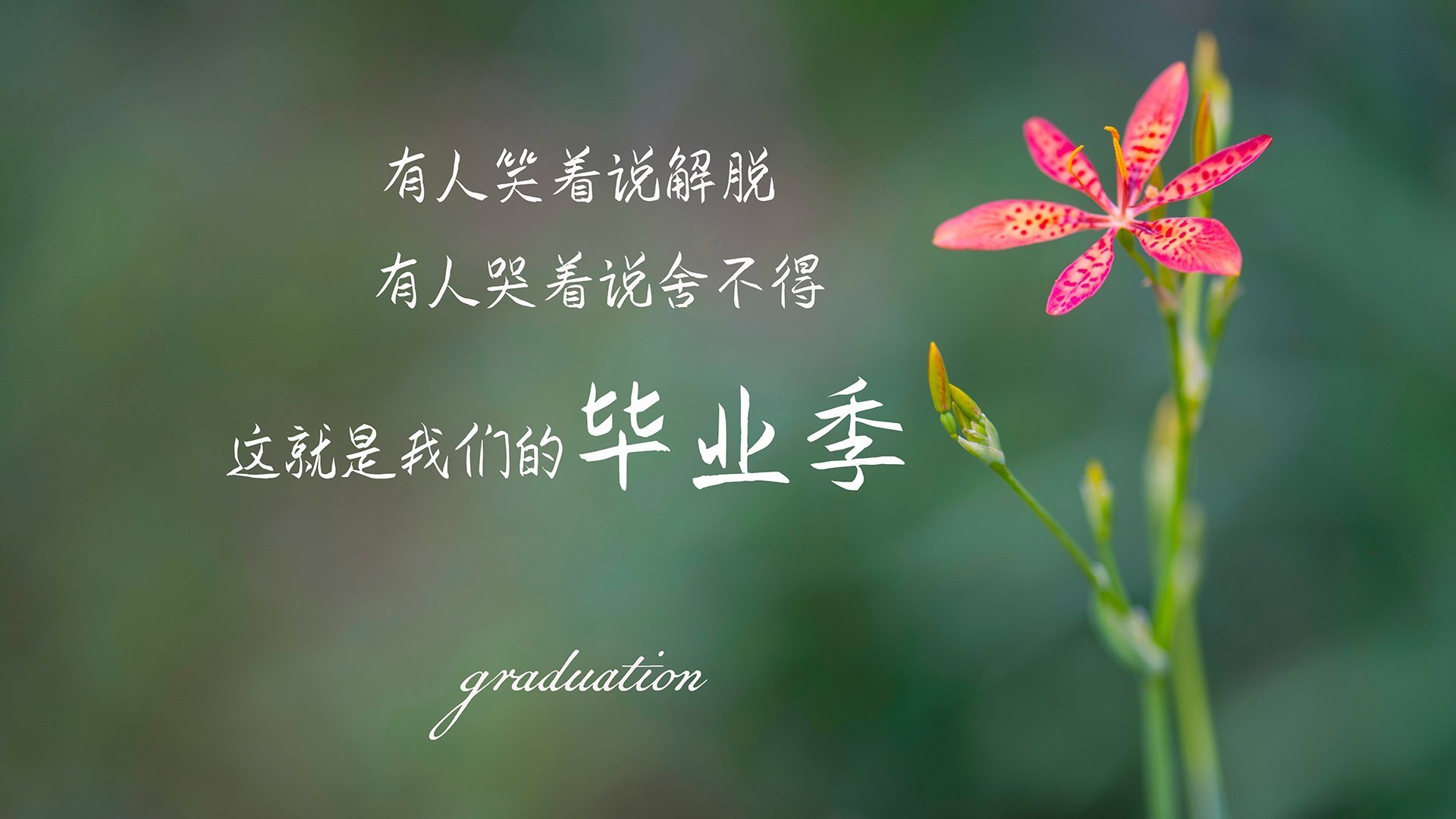 英格兰骑手大卫·詹金斯在巴黎奥运会盛装舞步比赛中获得第十三名，创造个人最佳成绩。
