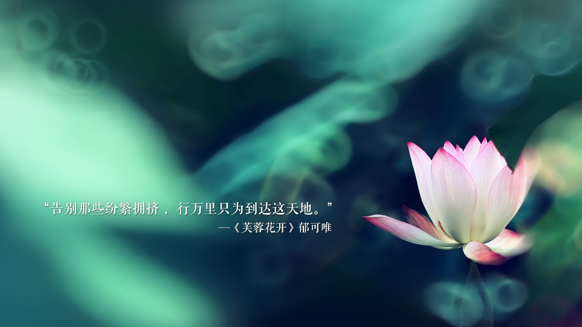 墨西哥教练：我们不是来滑雪的，是来踢球的，墨西哥教练_我们不是来滑雪的,是来踢球的