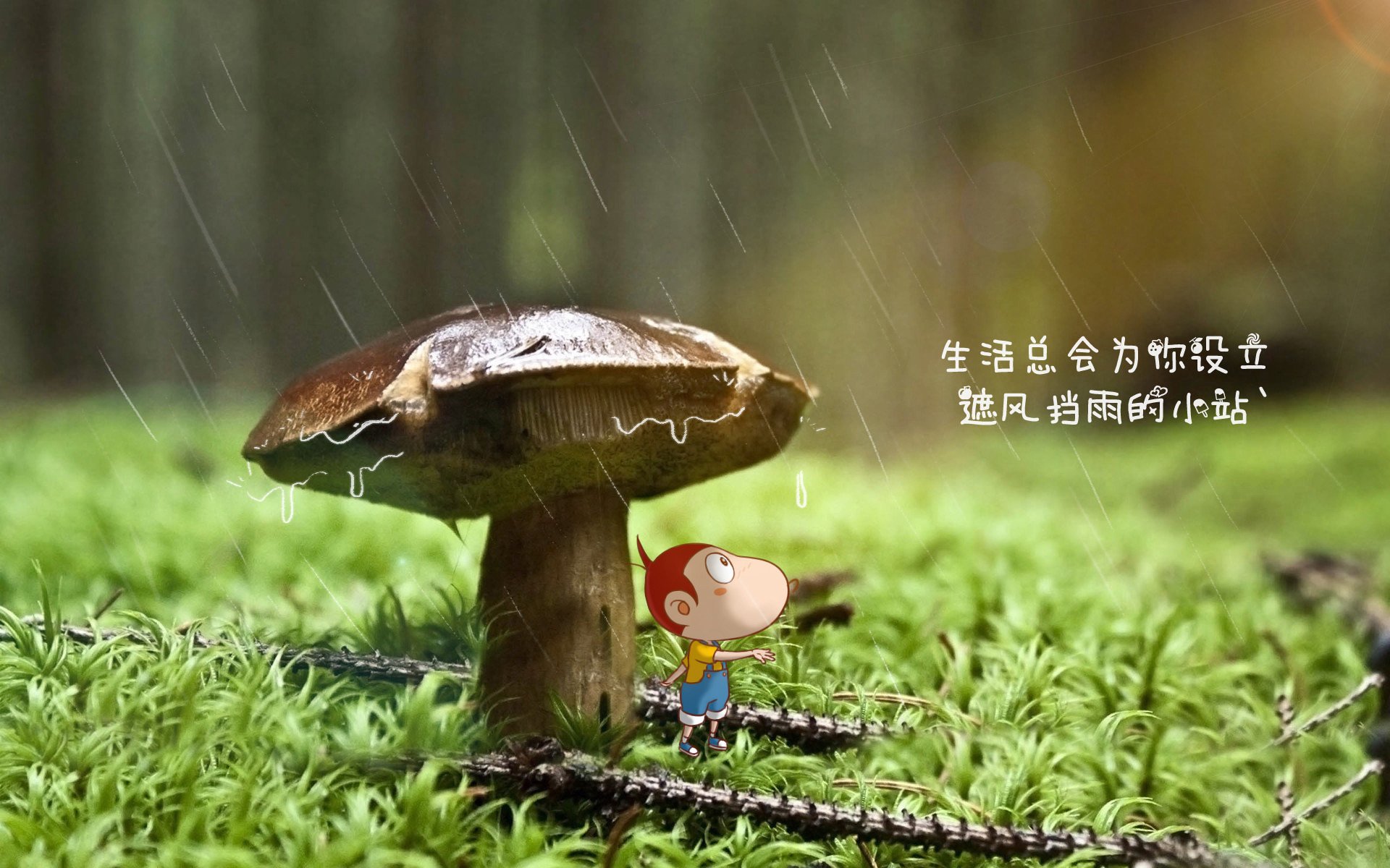 马竞客场1-0小胜阿拉维斯，艰难取胜，马竞对阿拉维斯比分预测