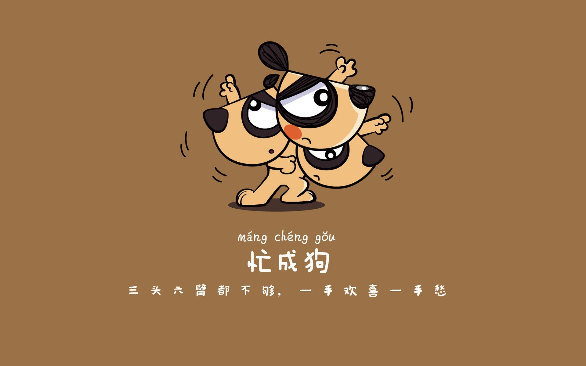 体育新闻中心推进体育影像档案管理系统建设，体育档案目录