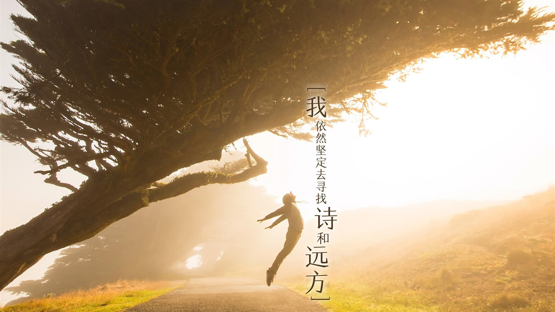 换人节奏是否依据对手战术变化动态调控，换人是啥