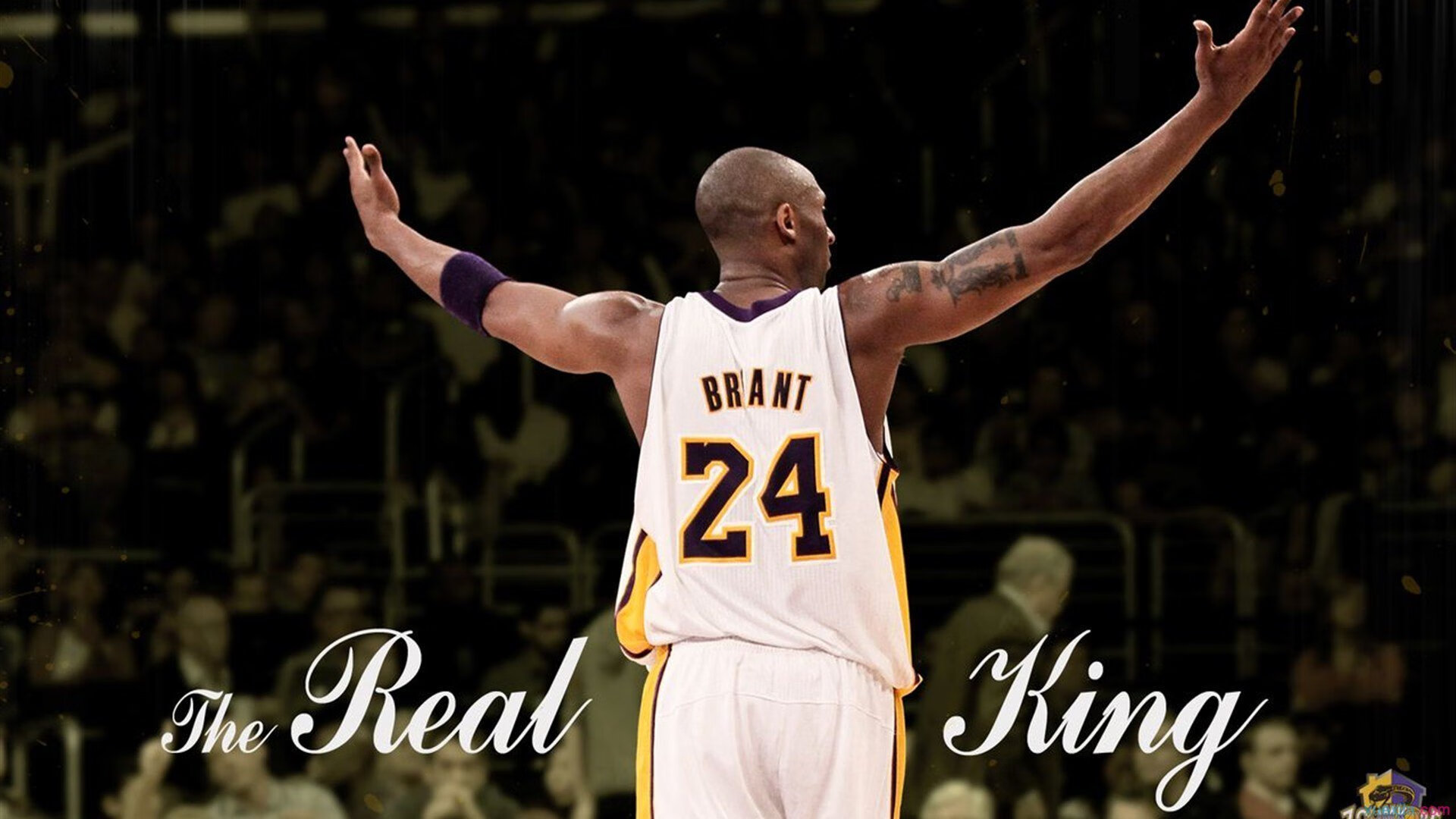 开云·Kaiyun网页版-球迷故事：那些年陪伴球队走过的感人瞬间，球迷故事_那些年陪伴球队走过的感人瞬间视频